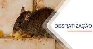 Veneno de Rato: Tipos, Aplicação, Efeitos e Como Usar de Forma Segura